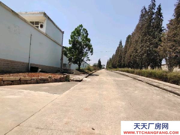 (出租) 西片區(qū)標(biāo)準(zhǔn)廠房倉庫出租，出讓