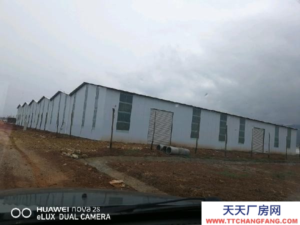 (出租) 曲靖市麒麟區四圩社區永豐圩,占地85畝,