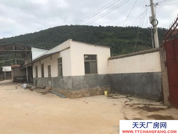 (出租) 以前的養殖場，水電路都比較方便