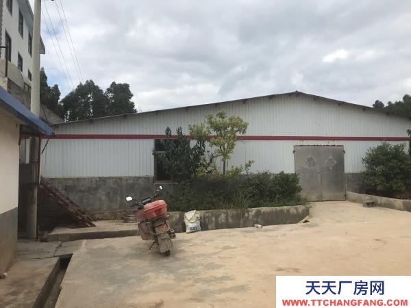 (出租) 以前的養(yǎng)殖場(chǎng)，水電路都比較方便