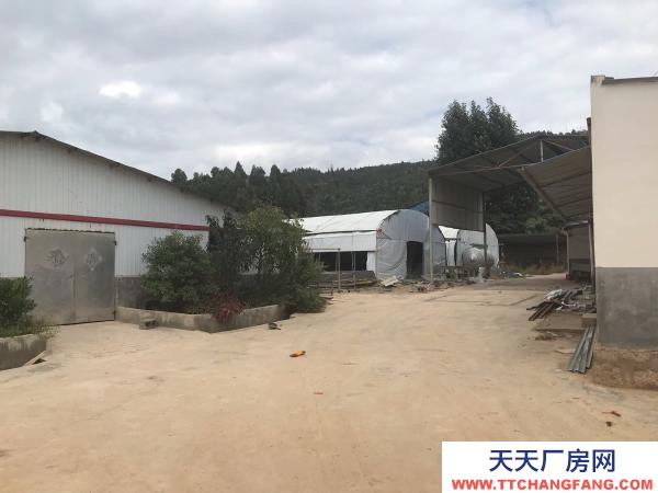 (出租) 以前的養(yǎng)殖場(chǎng)，水電路都比較方便