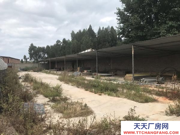 (出租) 以前的養(yǎng)殖場(chǎng)，水電路都比較方便