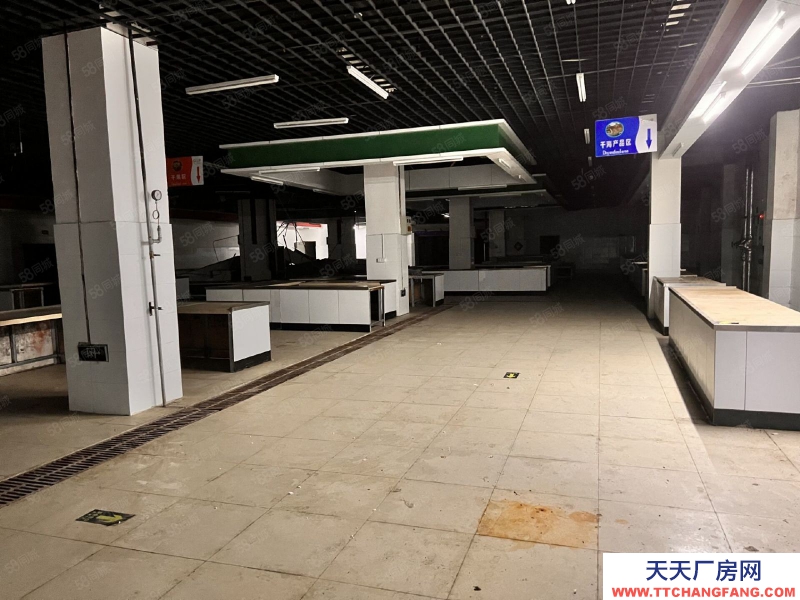 青島黃島區珠山街道人民路4000平廠庫房出租,無中介