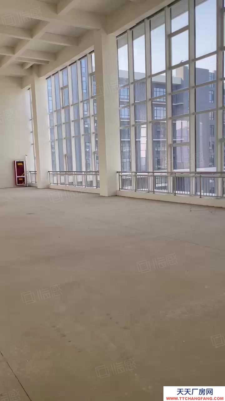 青島黃島50年產(chǎn)權(quán)廠房 大平層 層高8米 可定制