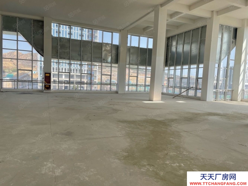 青島黃島50年產(chǎn)權(quán)廠房 大平層 層高8米 可定制