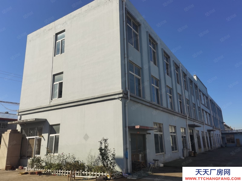 青島黃島前灣港保稅港區(qū)獨棟工業(yè)大樓1.4萬平雙證全可多行業(yè)