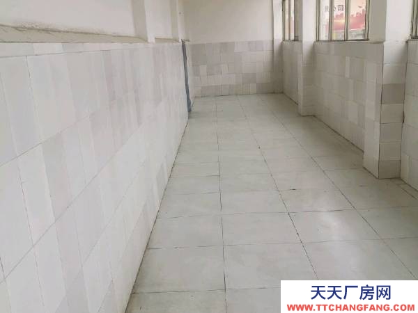 (出租) 交通方便，可以進出掛車，建筑面積有3000平方