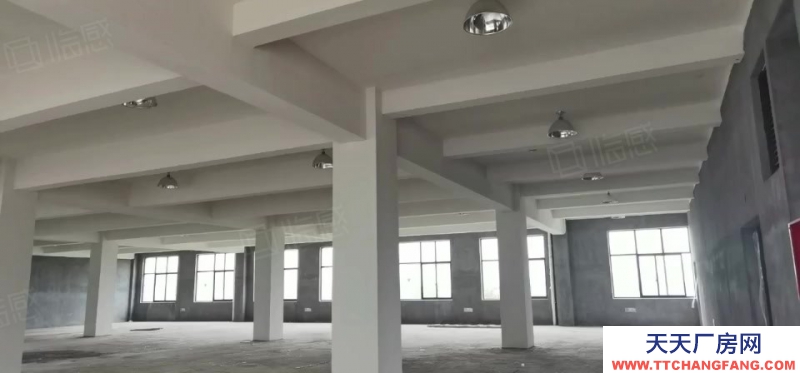 杭州蕭山(出售) 繞城高速旁 獨棟廠房 面積1695平起 開發商直售