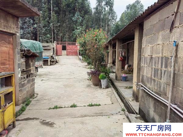 (出租) 大面積場(chǎng)地，干啥都可以