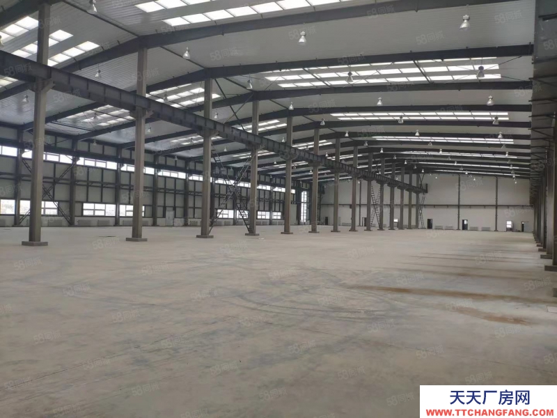 (出售) 自貿區 現房 1400平單層 高10米 可做低首付