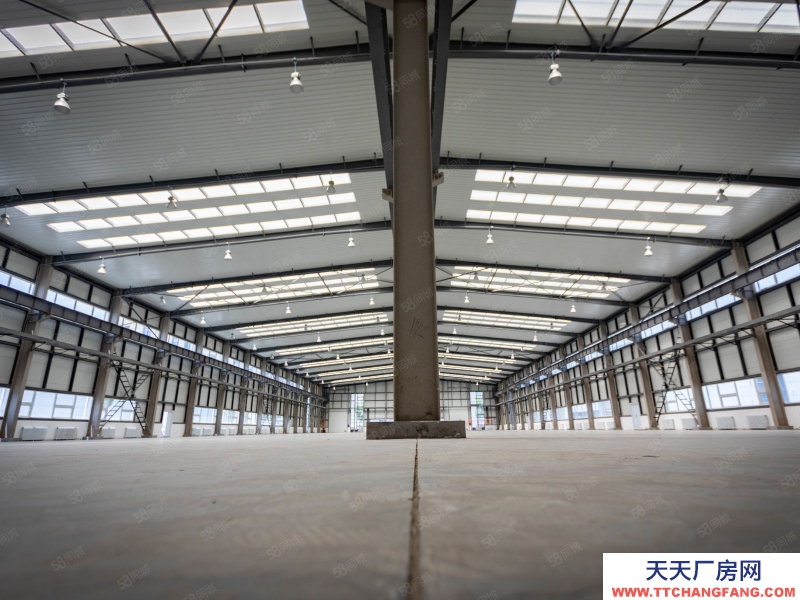 (出售) 自貿(mào)區(qū) 現(xiàn)房 1400平單層 高10米 可做低首付