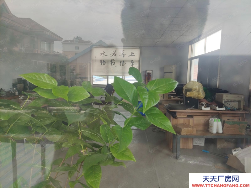 青島黃島靈山衛(wèi)街道辦有220平方廠房出租