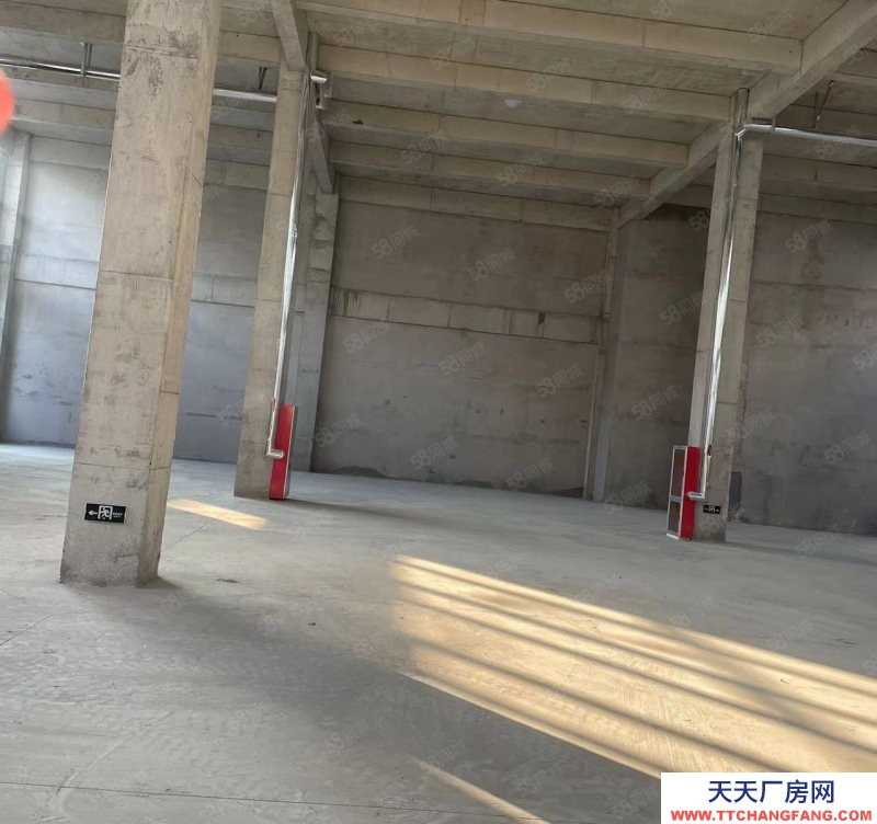 青島嶗山獨棟工業廠房 貸款10年 層高8米 低總價