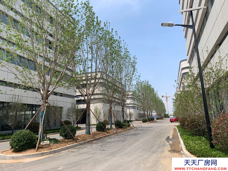 青島嶗山獨棟 食堂物業齊全 研產辦一體