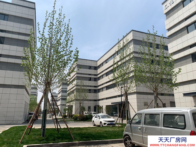 青島嶗山全新兩層獨棟廠房 首層9米 現房出售 開發商 價格可議