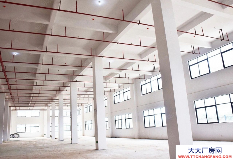 青島嶗山850至2400平大產權廠房出售 研發 生產 辦公 首付2成