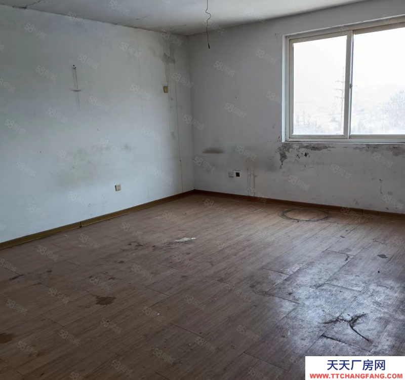 青島嶗山枯桃倉庫出租