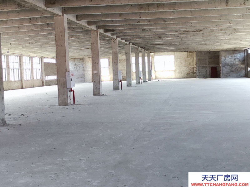 (出租) 重慶銅梁開發商直租廠房，園區交通方便，好招工費用低