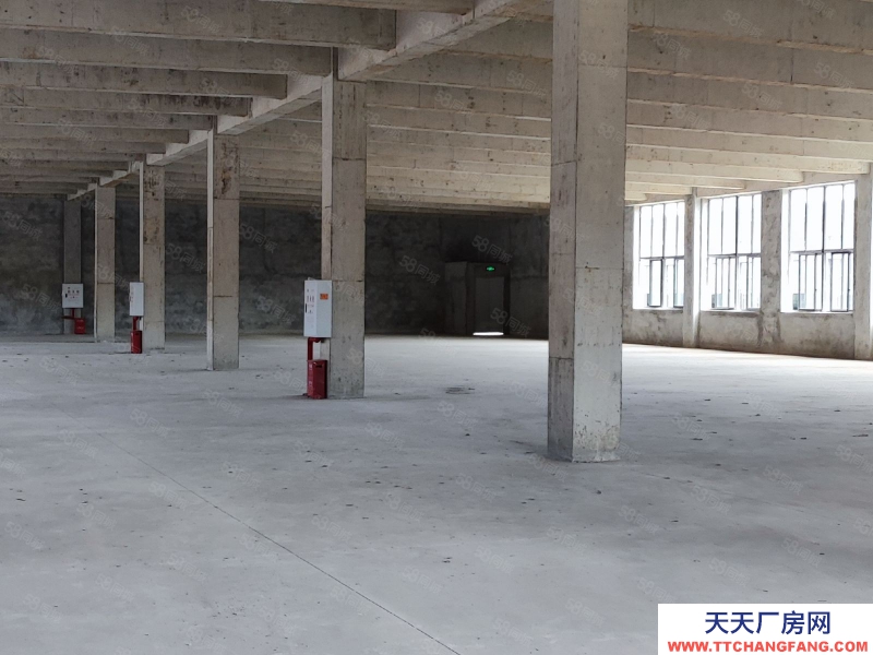 (出租) 重慶銅梁開發商直租廠房,園區交通方便,好招工費用低