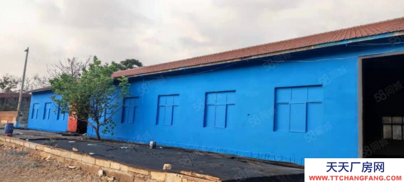 青島李滄區(qū)十梅庵十畝地帶單間平房11間加庭院