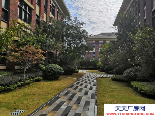 南京市建鄴區研發辦公單層廠房,稅收減免,人才扶持