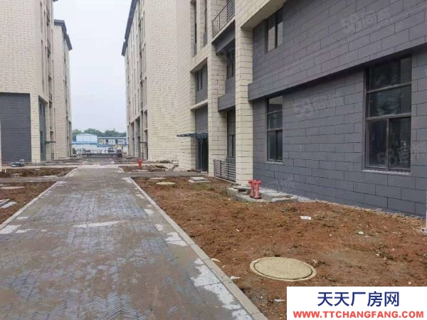 南京市建鄴區七月啟動,2000平獨棟單價6000!近地鐵