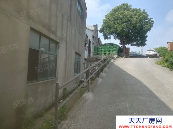 南京市建鄴區江寧鎮獨門獨院廠房3000平米有土地證