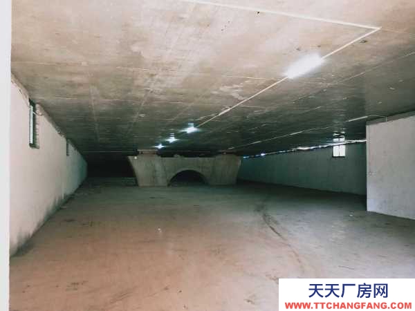 南京市建鄴河西金鷹對面高架橋下面810平方倉庫