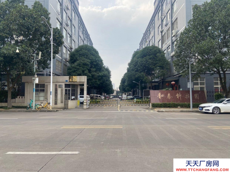 南寧市西鄉塘區(出租) 和泰工業園，正鑫科技園，每個月享受1500元補貼。