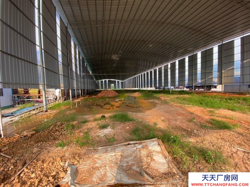 南寧市西鄉塘區(出租) 石埠廠房，倉庫招租，交通便利。