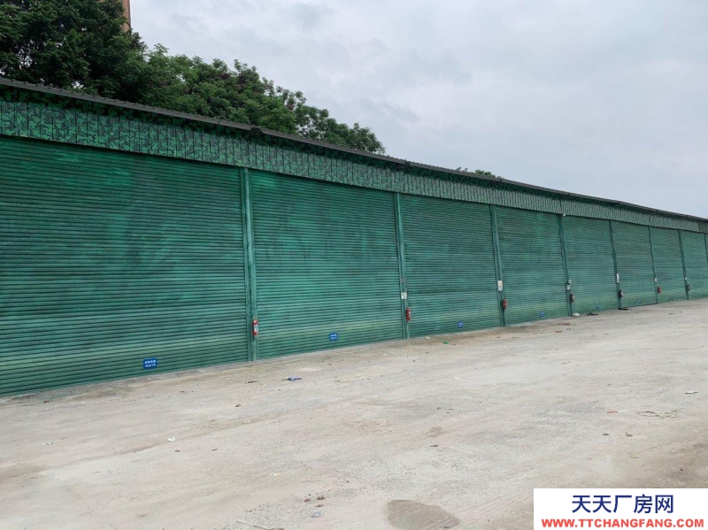 南寧市西鄉(xiāng)塘區(qū)(出租) 18米貨車隨意進(jìn)出 大路廠房可做存儲(chǔ)倉庫