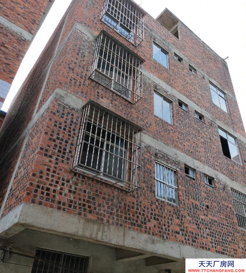 南寧市西鄉塘區(出租) 南寧高新區明華村劉屋坡