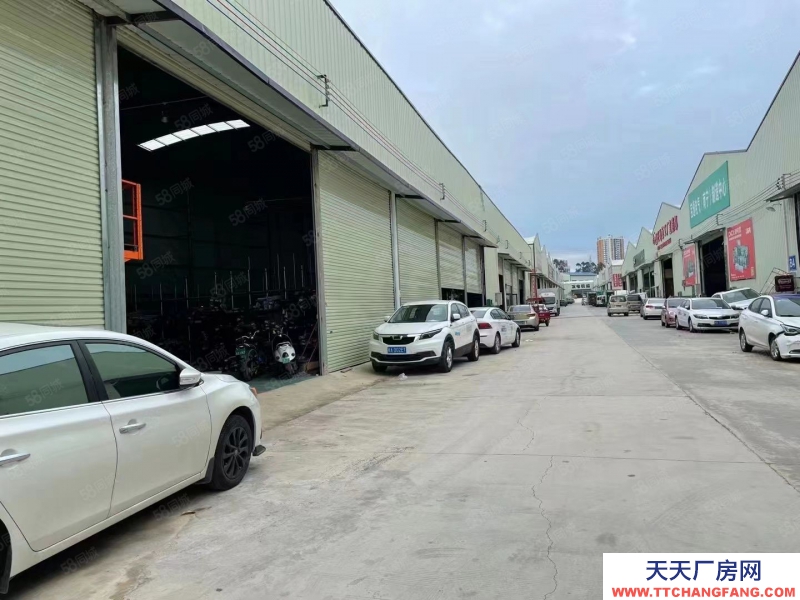 南寧市西鄉塘區(出租) 安武大道安武建材城新推二期路邊商鋪式廠房!!!!