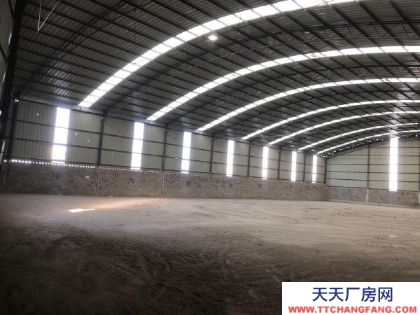 (出租) 自建鋼結構廠房，層高7米