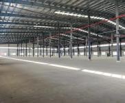 (出租) 武漢新洲國有丙二高臺庫20000平,可托管手續齊全煙感噴淋