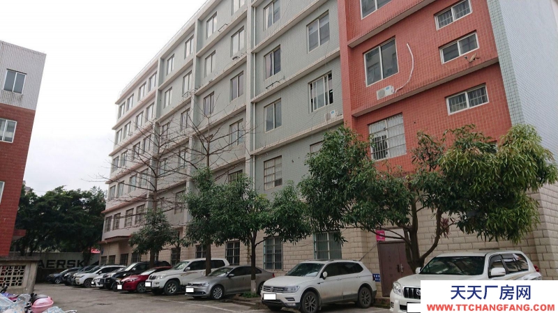 南寧市西鄉塘區(出租) 心圩西十路26號廠房出租，租金低