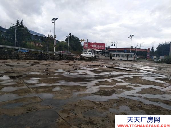 (出租) 超大院子超大房子，喜歡大場地的來。