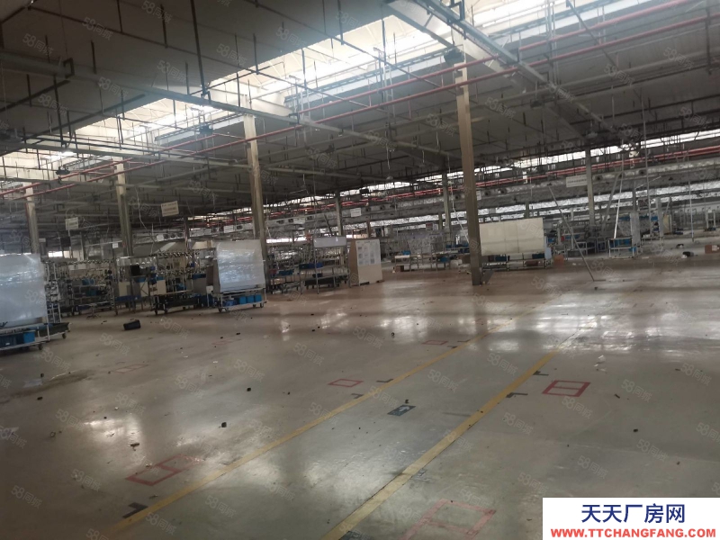 (出租)重慶 江北五里坪5000方單層廠房倉庫 帶空壩可分租