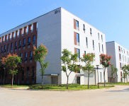 (出租) 宜昌伍家崗多面積段可選 政府園區招租