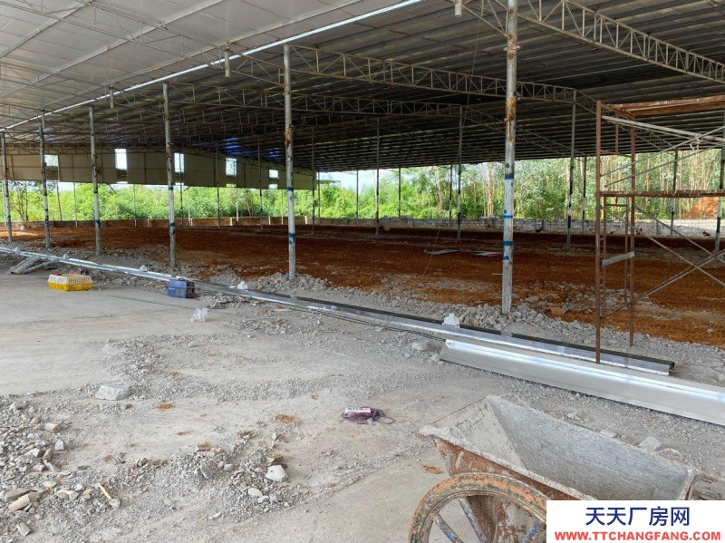 南寧市西鄉塘區(出租) 2000平方廠房出租