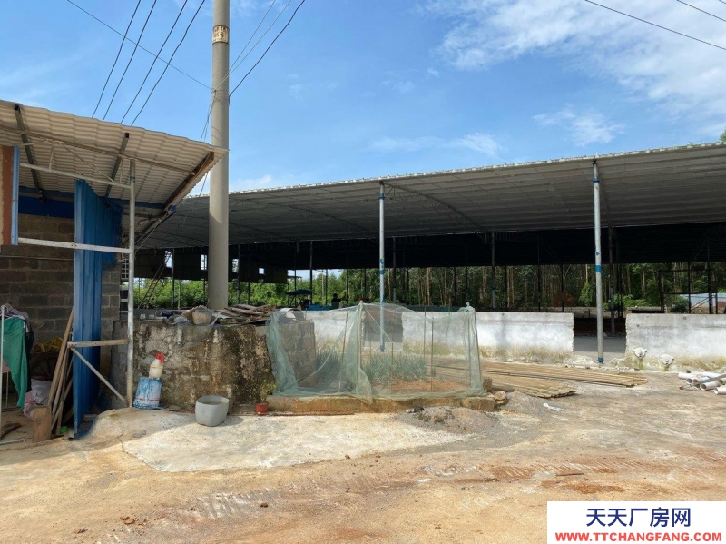 南寧市西鄉塘區(出租) 2000平方廠房出租