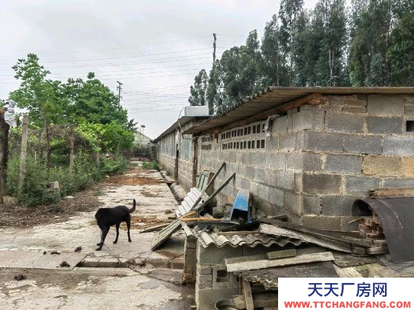 (出租) 交通方便，環境好，廠房內有員工宿舍，廚房