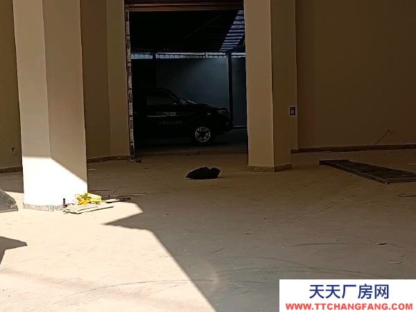 廠房特色 超大空地 可用于家具生產(chǎn)或廠房倉庫