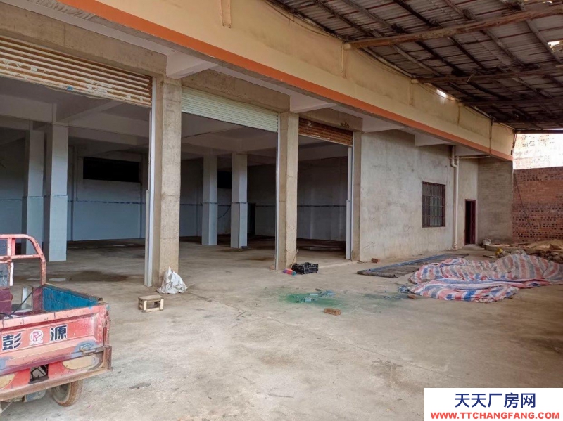 南寧市西鄉塘區(出租) 地勢好，環境好，無任何隱患