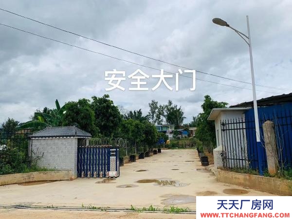 (出租) 占地12畝，租金面議！