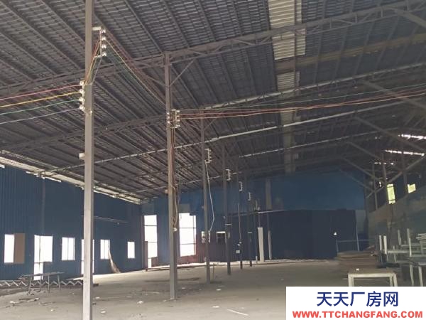 (出租) 廠房、鋪面、空地都有