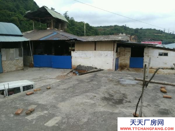 (出租) 廠房出租1150平米,空地,有150平米有采光瓦