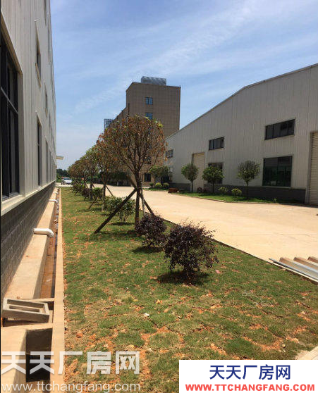 長沙市雨花區5000平米大廠房出租