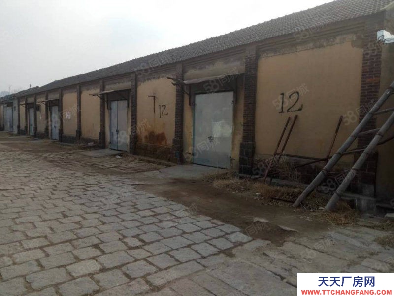 青島李滄區堿廠附近 標準倉庫 50~500 平 不拆遷