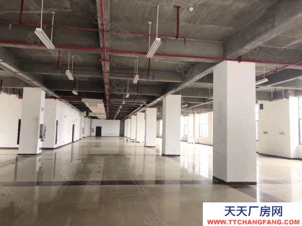 長沙市雨花區萬家麗南路 精裝標準廠房及辦公2300平米可分租